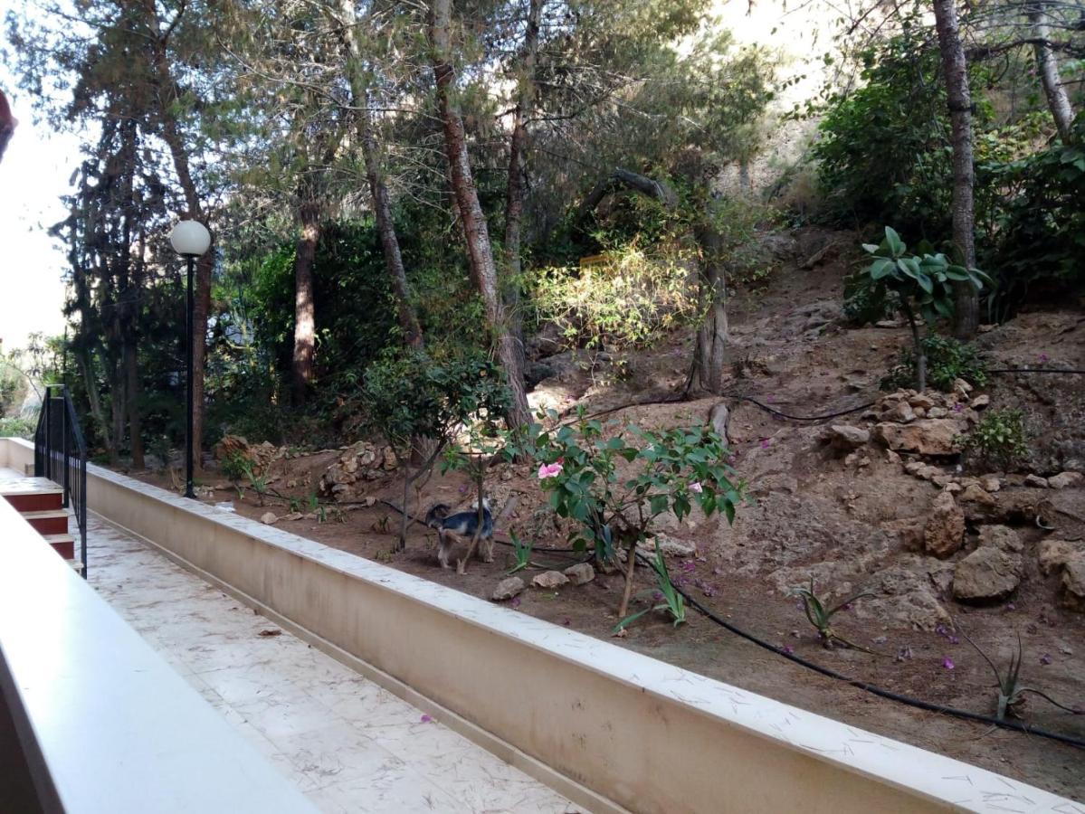 Mediterranean 180º Sea & Island Views Appartement Santa Pola
