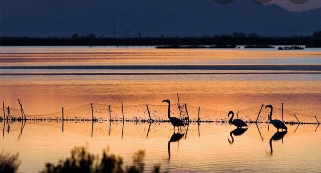 Mediterranean 180º Sea & Island Views * Santa Pola