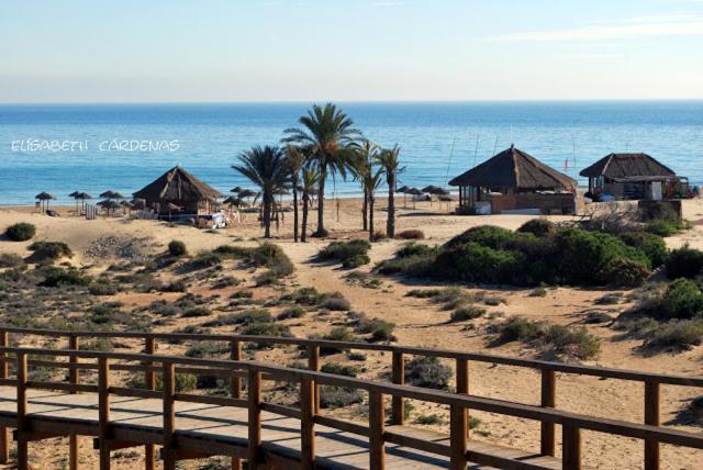 Mediterranean 180º Sea & Island Views Apartament Santa Pola