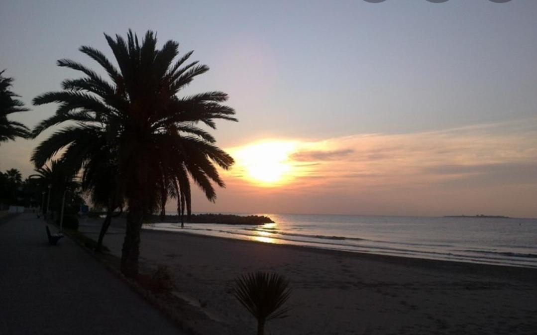 Mediterranean 180º Sea & Island Views Santa Pola